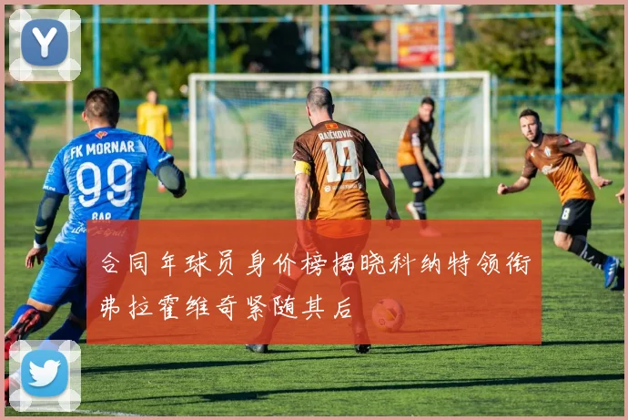 合同年球员身价榜揭晓科纳特领衔弗拉霍维奇紧随其后